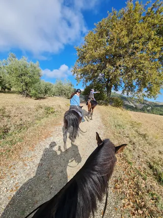Centro equestre Samarcanda