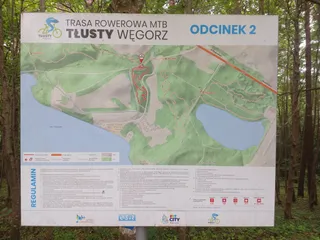 Trasa MTB Tłusty Węgorz