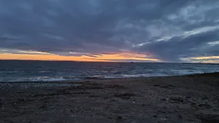 Dog beach