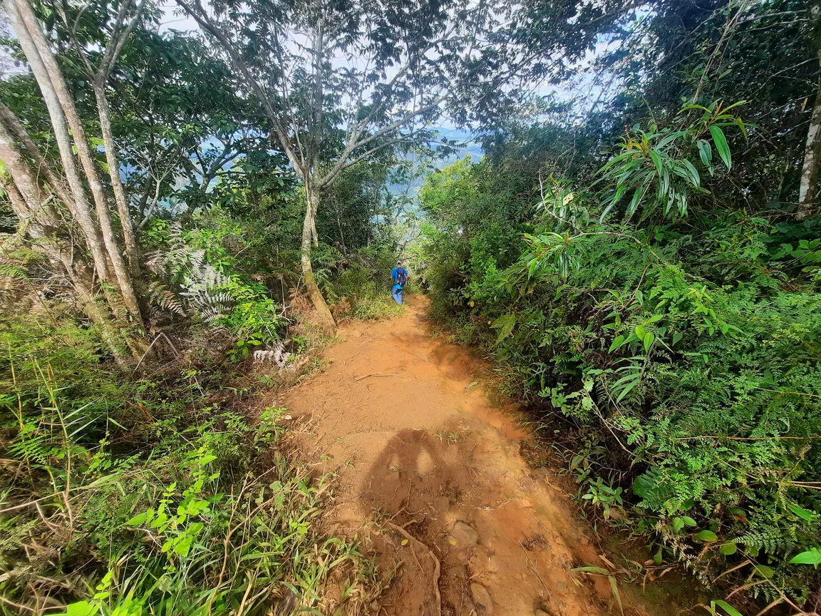 Montaña Mogote