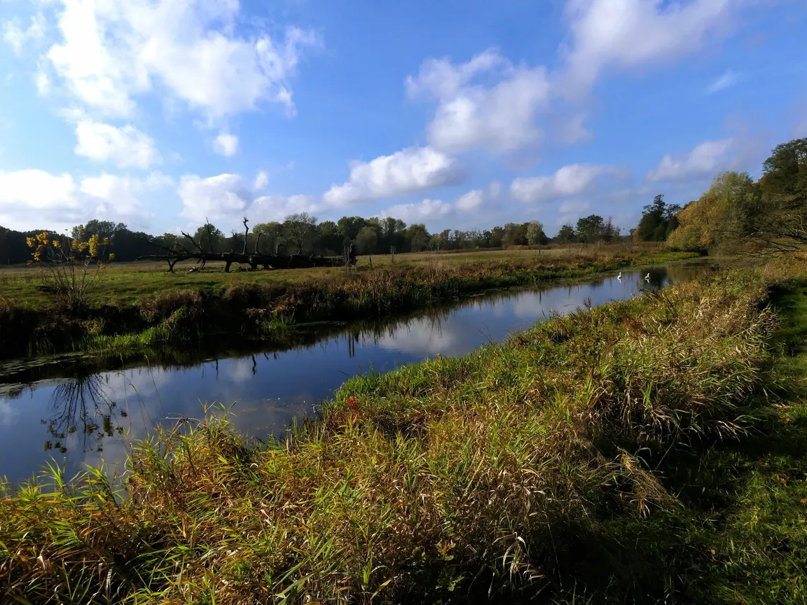 Rogaliński Park Krajobrazowy