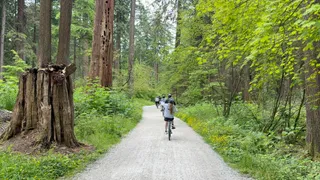 Toonie Tours Vancouver | Free Walking Tours, Private Tours, Bike Tours, Art, Beer & Coffee Tours