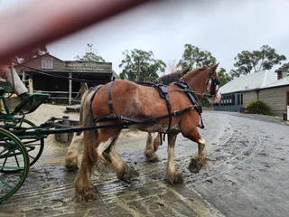 Sovereign Hill
