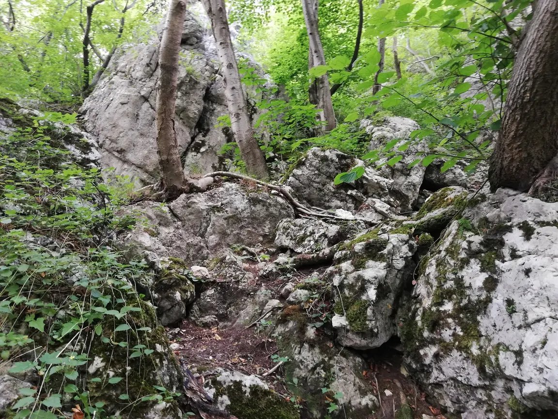 Zaklęty Mur-Skwirczyńskiego