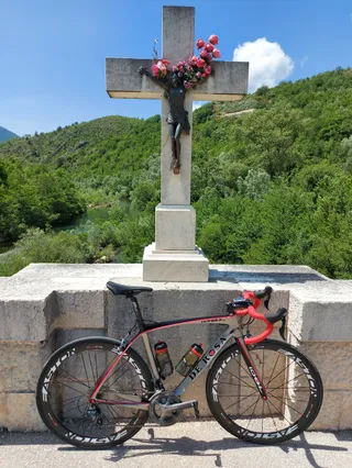 Pavića most
