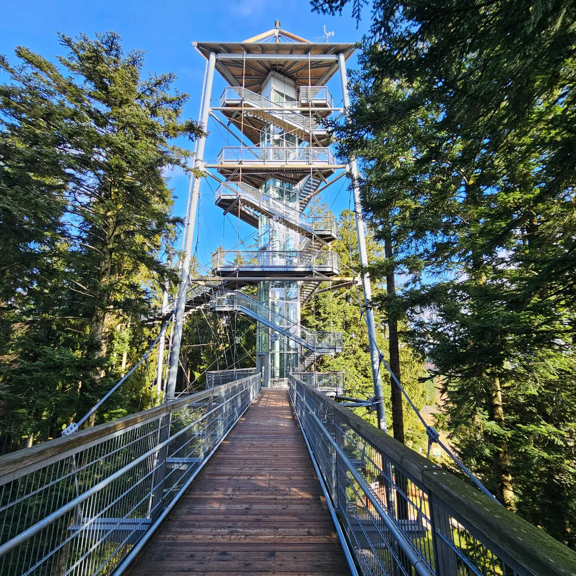 Waldwelt Skywalk Allgäu