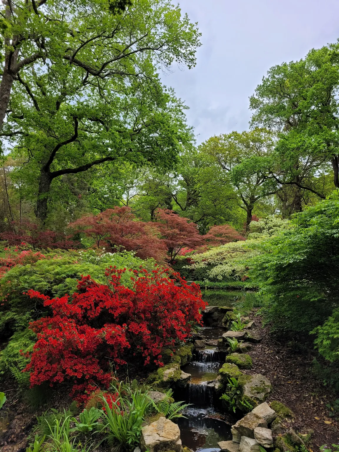 Exbury Gardens & Steam Railway