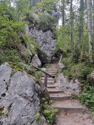 Zauberwald
