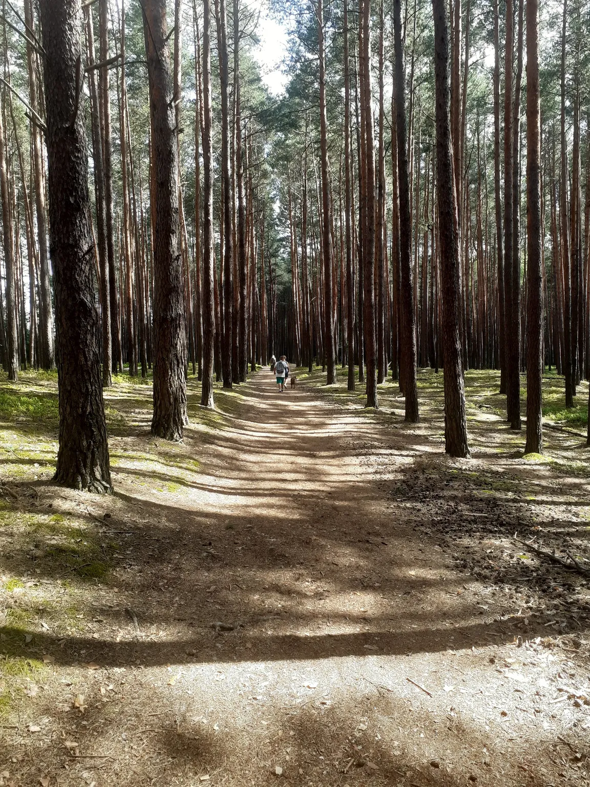 Rezerwat przyrody Imielty Ług