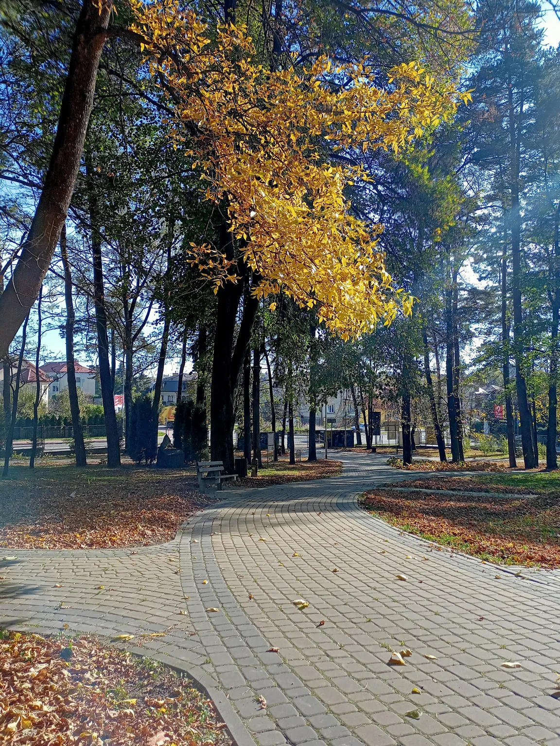 Park Miejski im. Rotmistrza Witolda Pileckiego