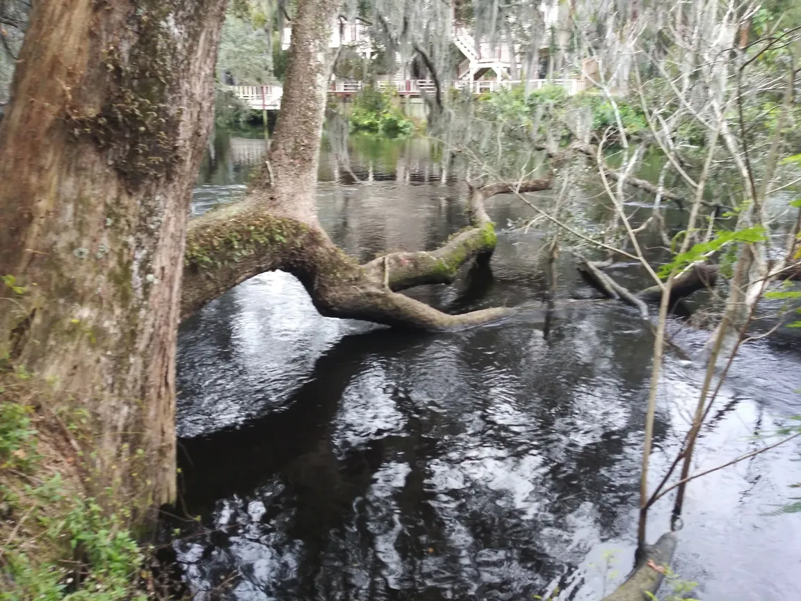 Mann-Wagnon Memorial Park