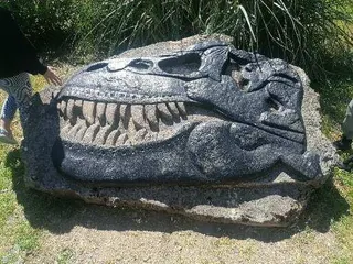Parco Paleontologico Dinosardo