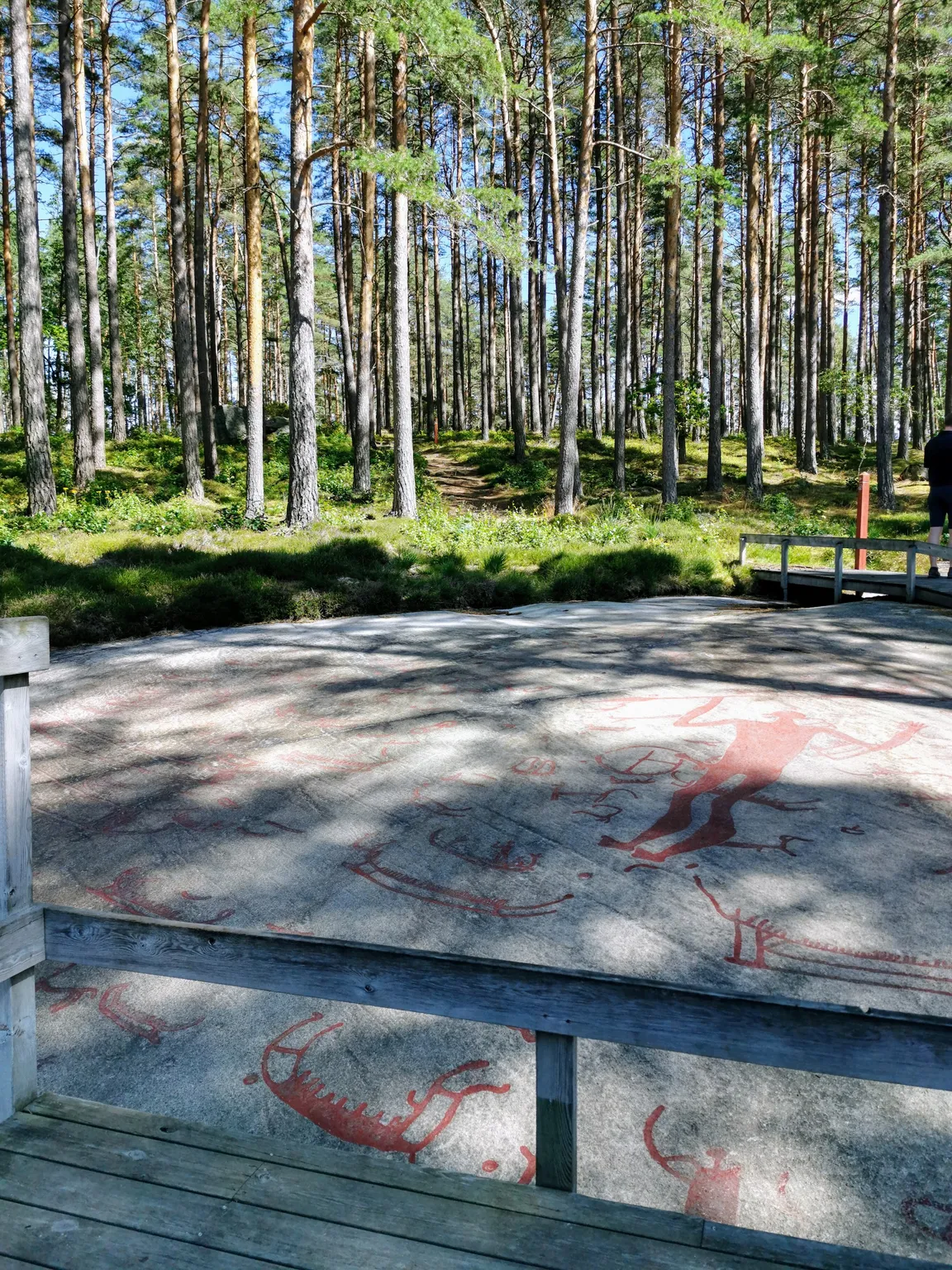 Rysunki naskalne w Tanum