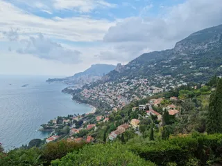 Olivier Millénaire de Roquebrune-Cap-Martin