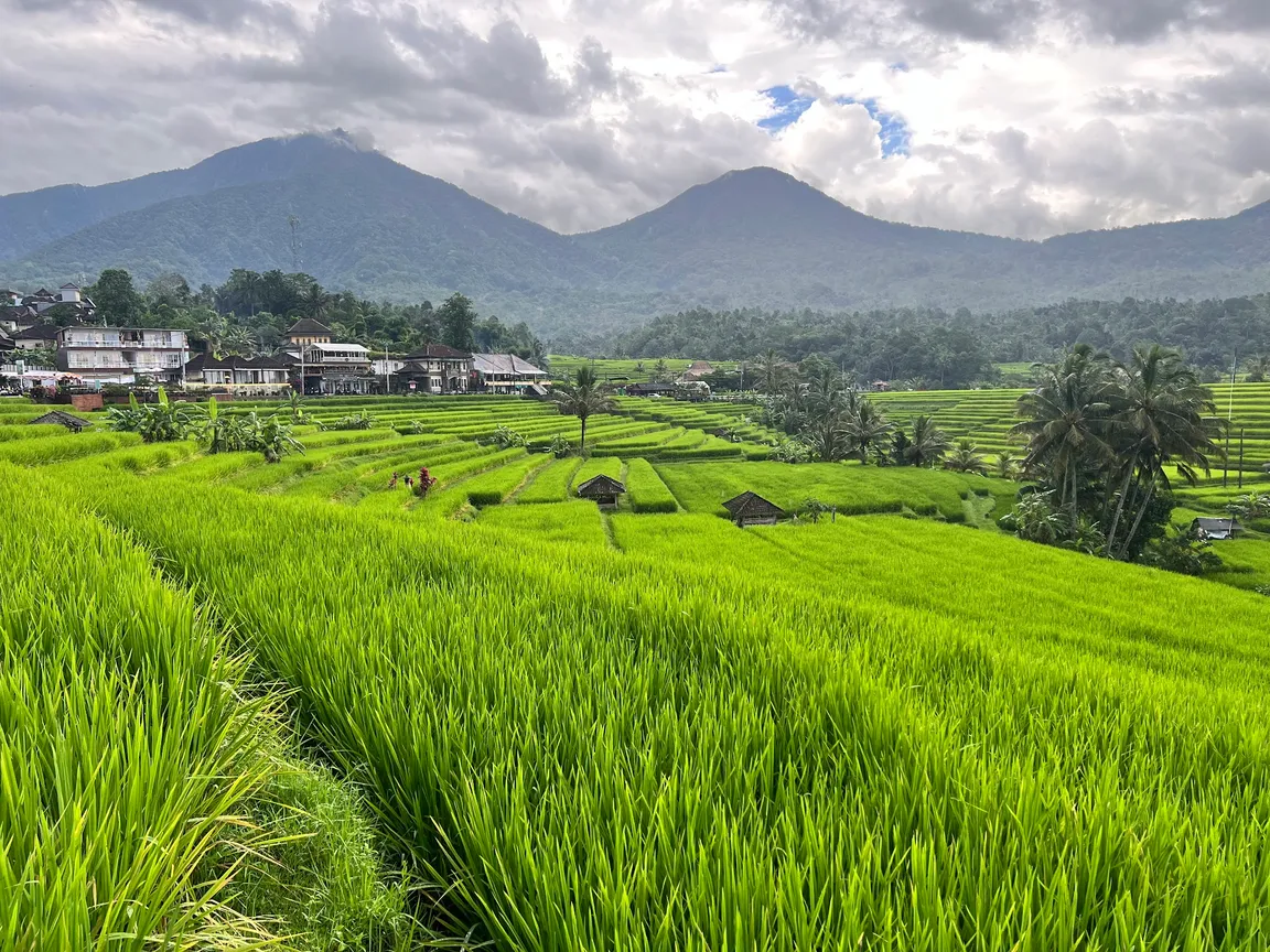 Good Bali Driver - Private Tours