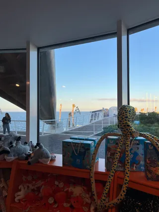 The Reef Giftshop