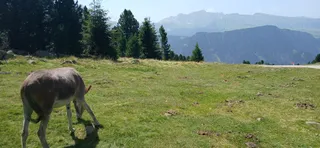 Aussichtspunkt