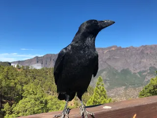 Mirador de La Cumbrecita