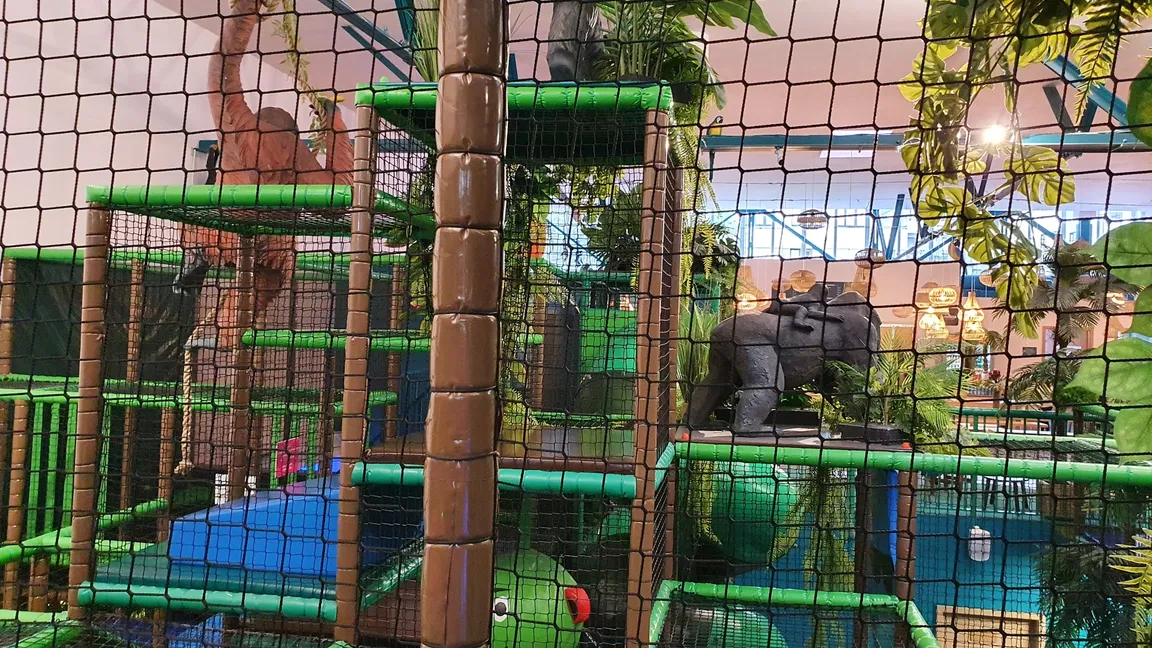 JUNGLE ACADEMY,