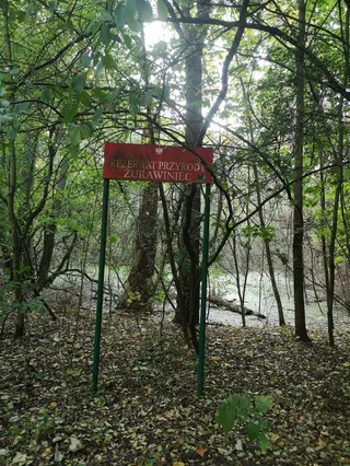 Rezerwat przyrody Żurawiniec