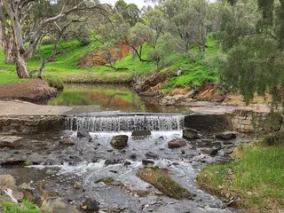Dry-Creek Wetlands