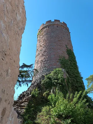 Château du Haut-Ribeaupierre (Or Altenkastel)