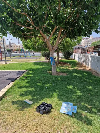 Public Park