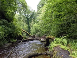 Henrhyd Falls