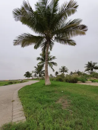 مطاعم شارع اتين