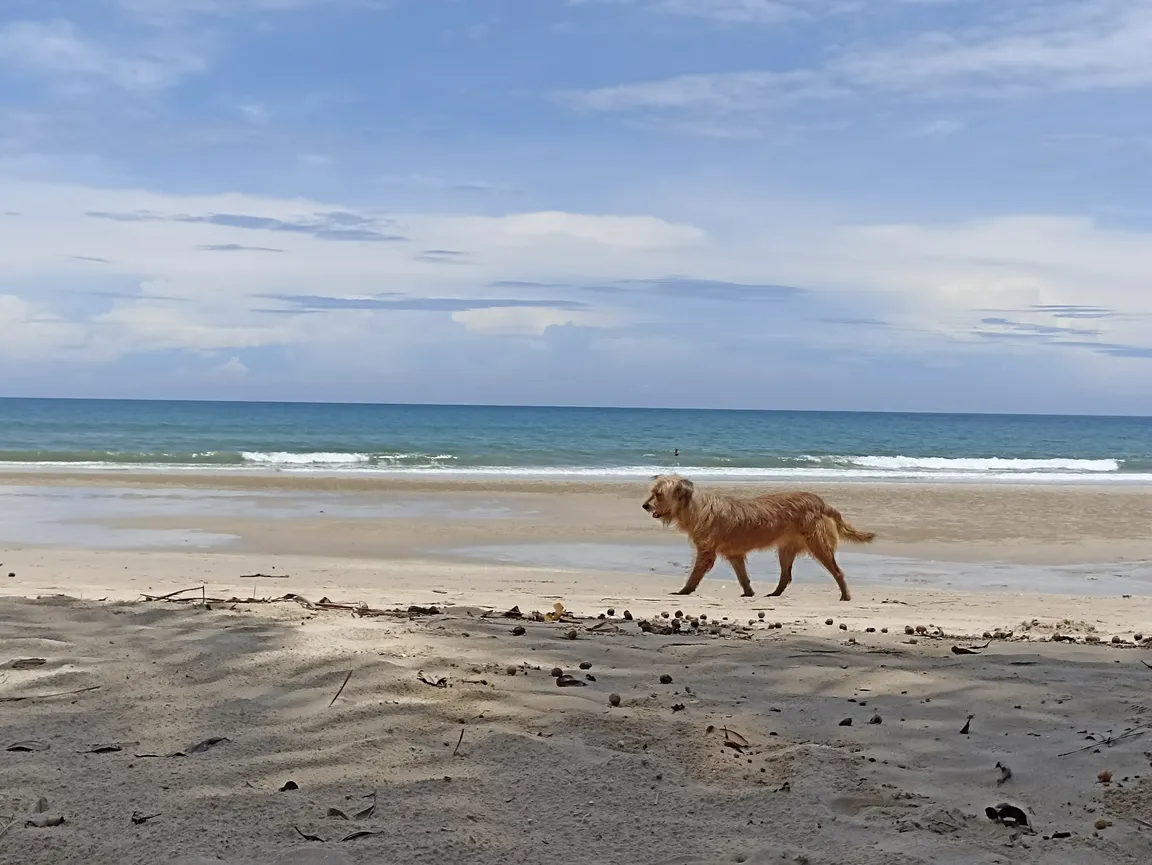 Route to Haad Sai Kaow (White Sand beach)