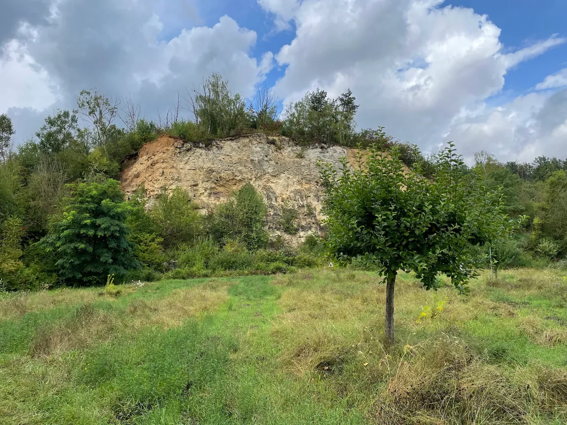 GeoPfad Weisenau Zugang Höhenweg