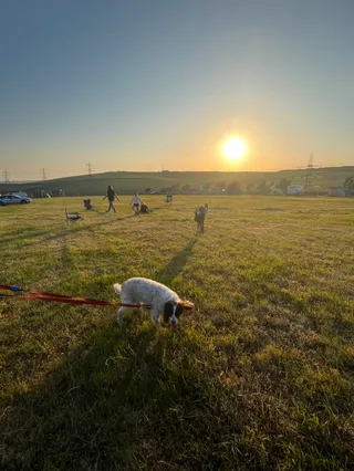 Donkey Down Campsite