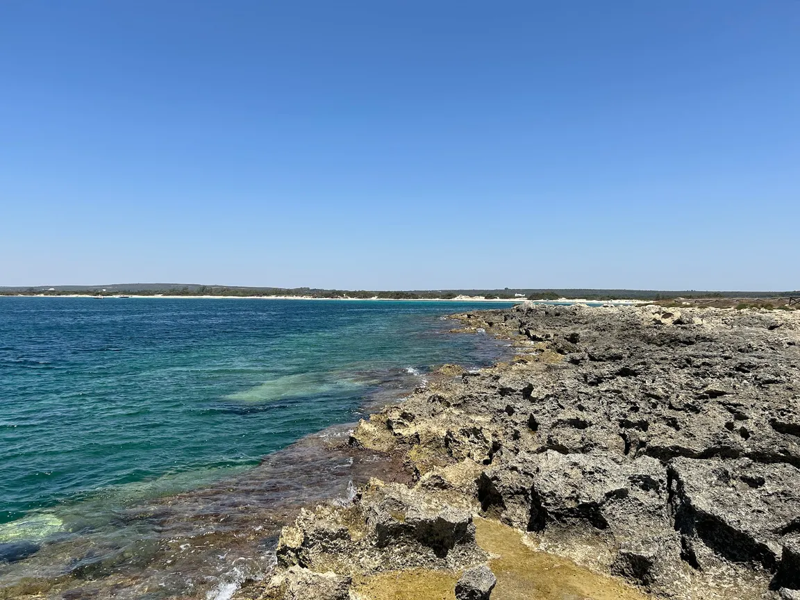 Punta Prosciutto