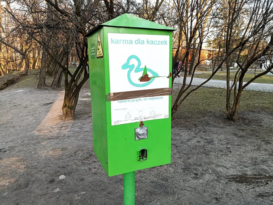Automat z karmą dla kaczek