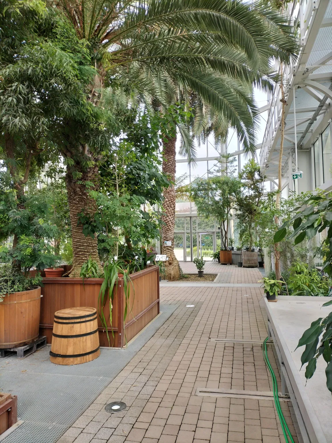 Ogród Botaniczny Uniwersytetu Jagiellońskiego
