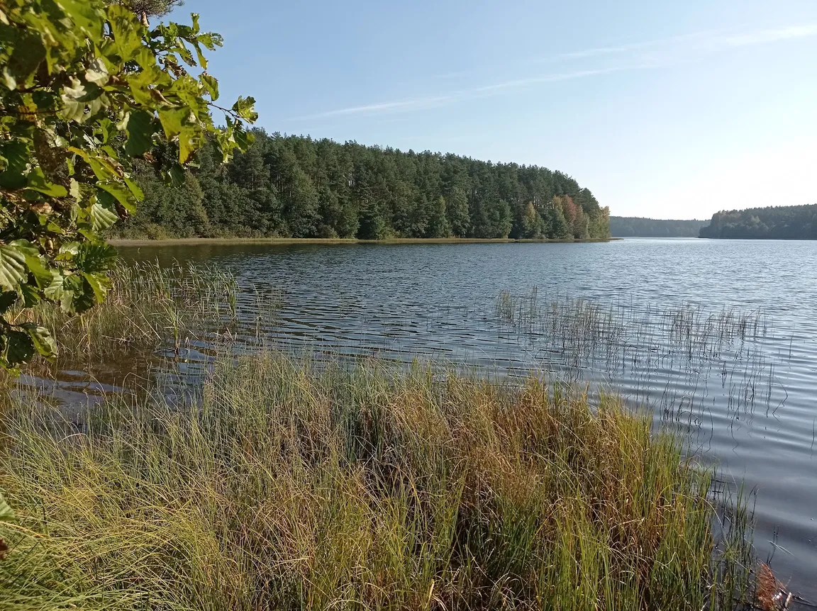 Kamienne Kręgi - Węsiory