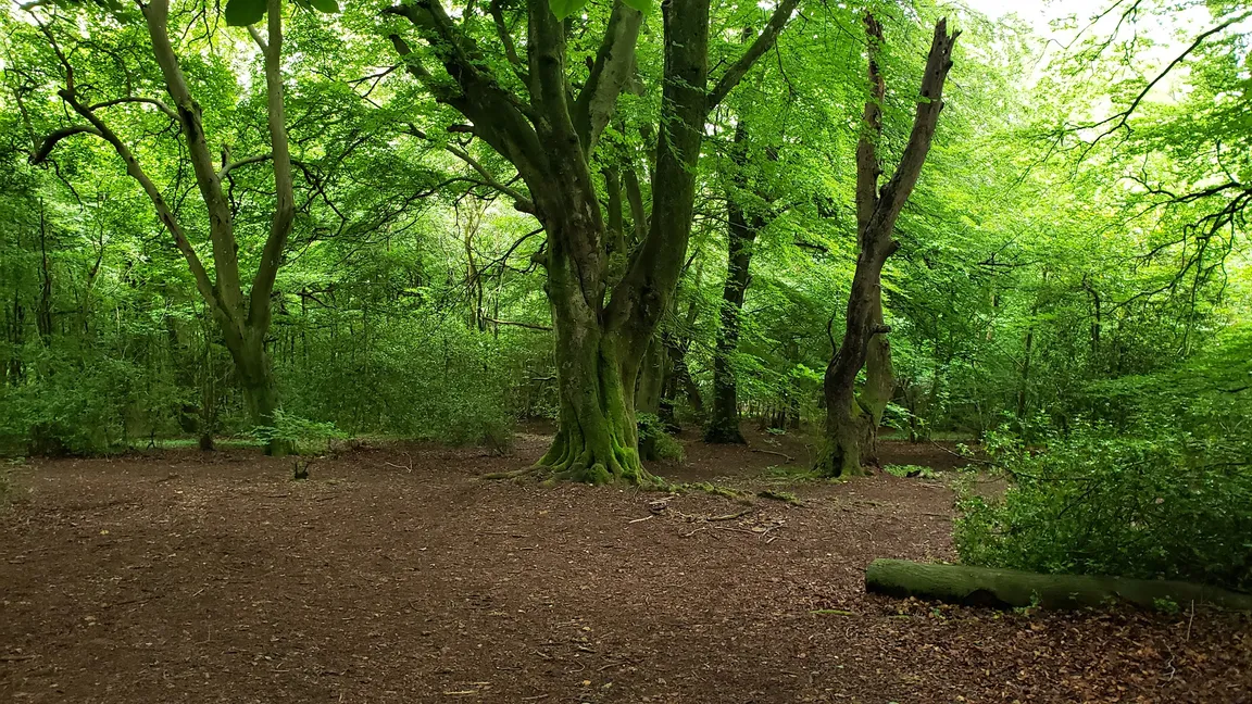 Crickley Hill Country Park