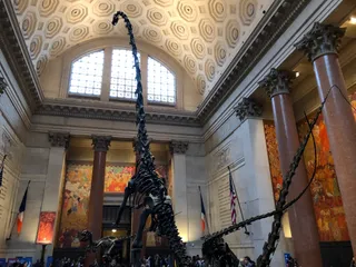Amerykańskie Muzeum Historii Naturalnej
