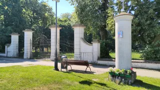 Park pałacowy