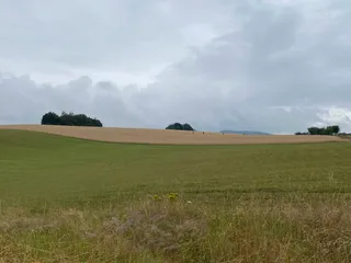 Wanderweg Geierlayschleife