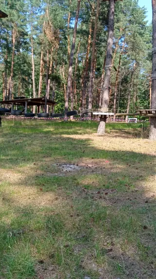 Park linowy Małpi Las
