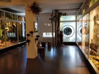 Estońskie Muzeum Historii Naturalnej