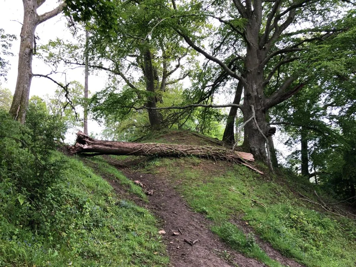 Cadbury Hillfort