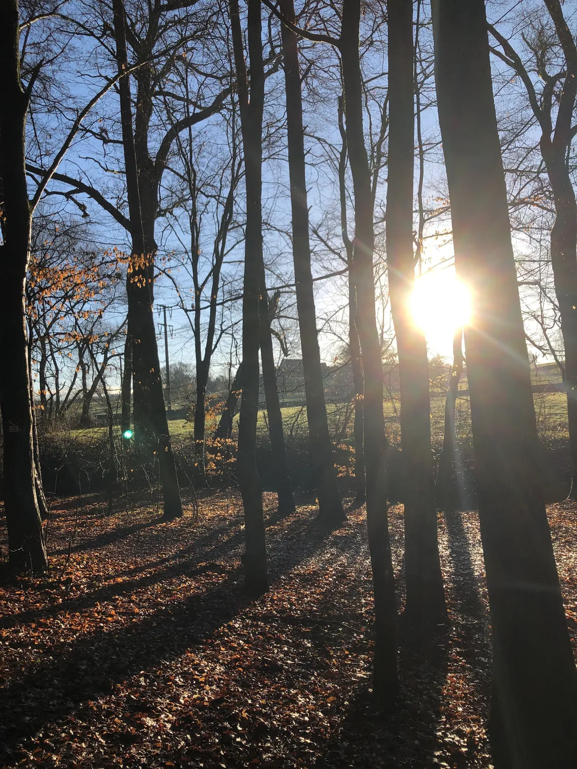 Schlittenberg am Letten