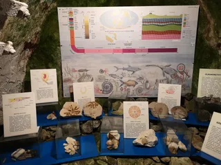 Podziemia Kredowe