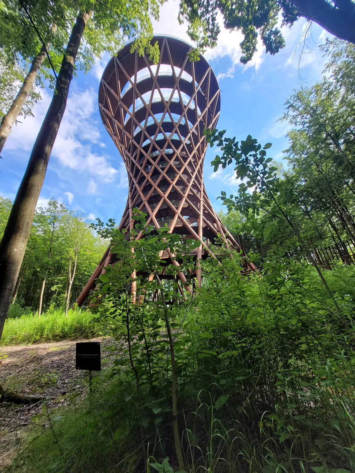 Camp Adventure
