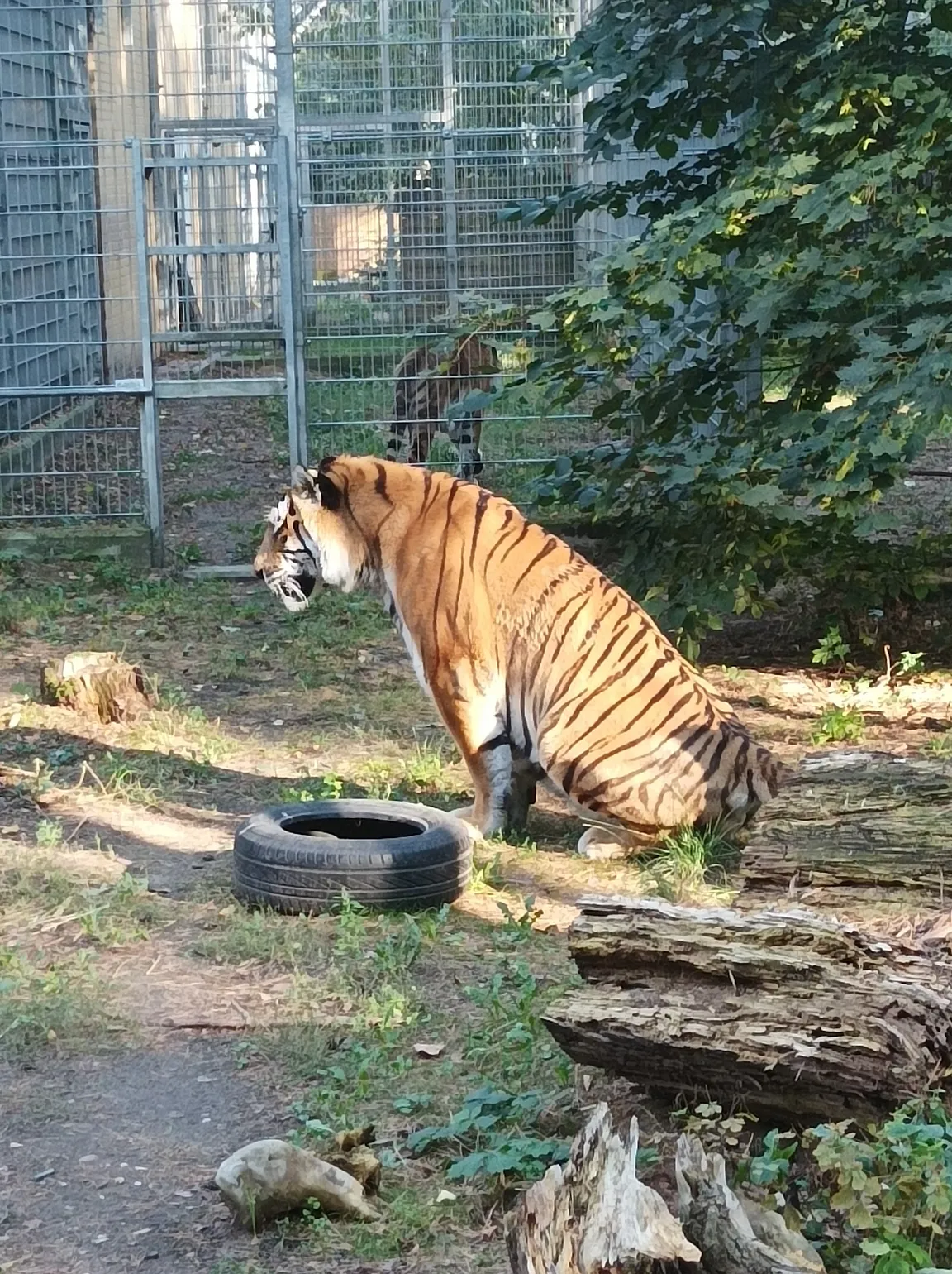 Ogród Zoologiczny w Bydgoszczy