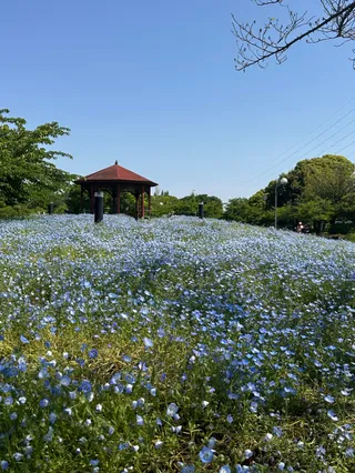 Todagawa Ryokuchi Park