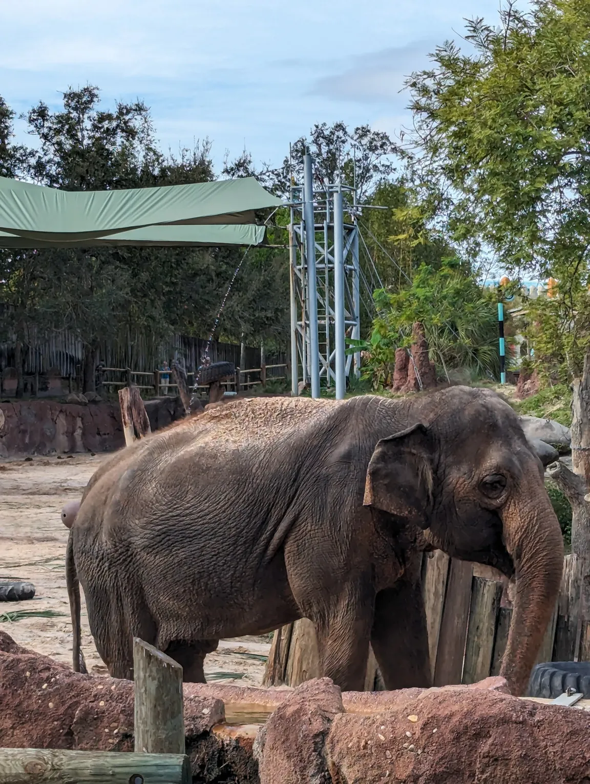 Busch Gardens Tampa Bay