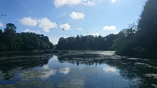 Brynmill Park